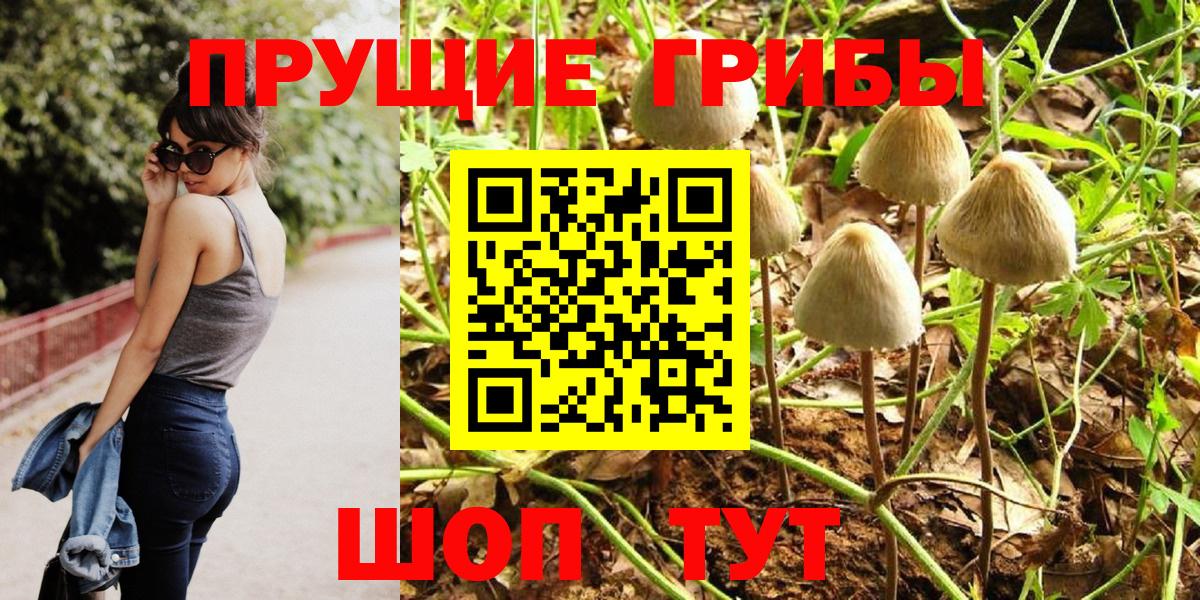 Минусинск  Галлюциногенные грибы Magic Shrooms  Вход с VPN 